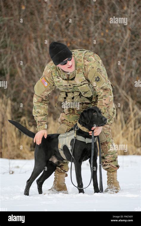 Do Military Dog Handlers Keep Their Dogs