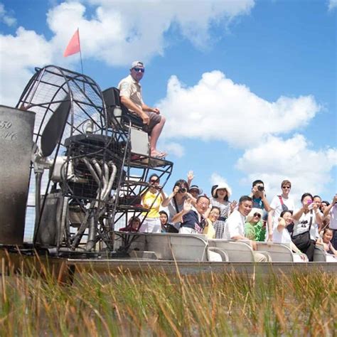 Everglades Morning Tour & Wildlife Show with Transportation - TripShock!