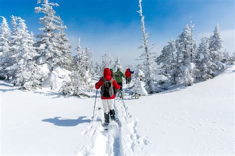 How To Snowshoe A Beginners Guide To The Basics