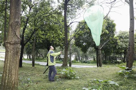 科技人物 这位23岁广州仔“好嘢”！新物种“海珠珐轴甲”由他发现澎湃号·政务澎湃新闻 The Paper