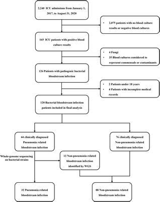 Frontiers Clinical Characteristics And Prognosis Of Pneumonia Related