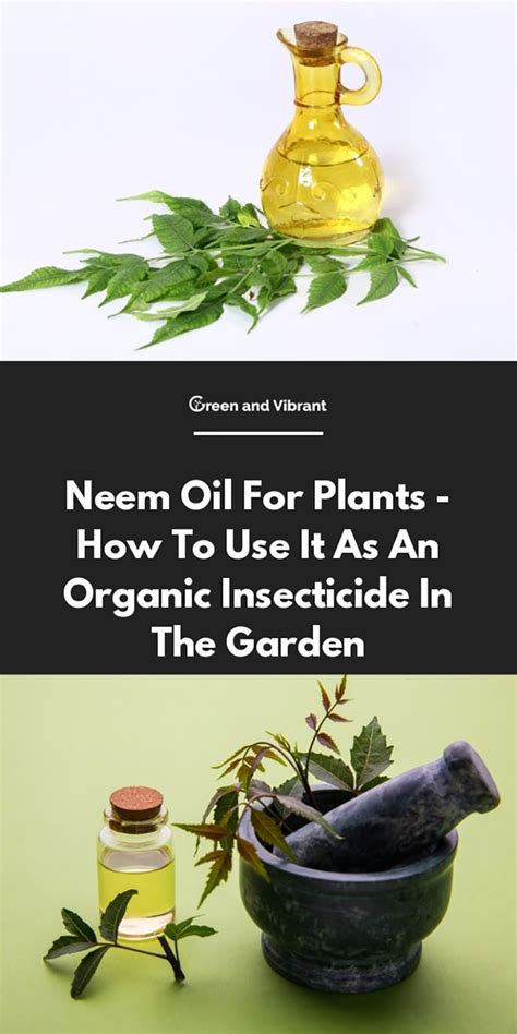 How To Use Neem Oil As Organic Insecticide A Comprehensive Guide