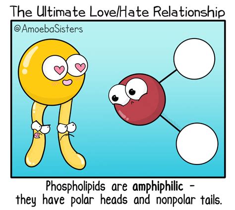 Paramecium Parlor Comics Science With The Amoeba Sisters Biology