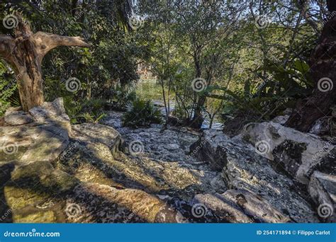 Cenote Azul in Mexico stock photo. Image of hole, light - 254171894