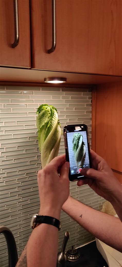Somebody taking a picture of a weird lettuce : r/mildlyinteresting