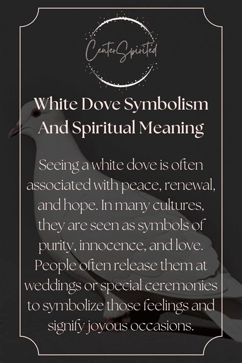 The white dove has been a symbol of peace and tranquility for centuries ...