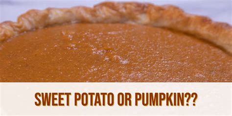 Sweet Potato or Pumpkin Pie? - Sweet Heat Culinary Creations