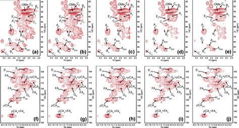 Understanding Of Bacterial Lignin Extracellular Degradation Mechanisms