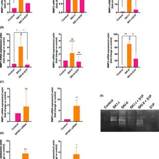 Sphks Regulate The Expression Of Mmp And Mmp Genes Htr Svneo Cells