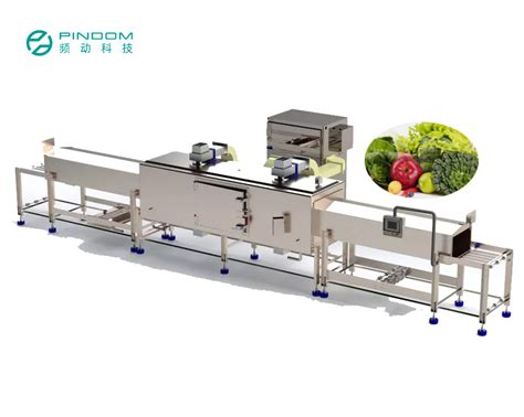 Customized Multi Functional Conveyor Belt Vegetables Microwave Tunnel