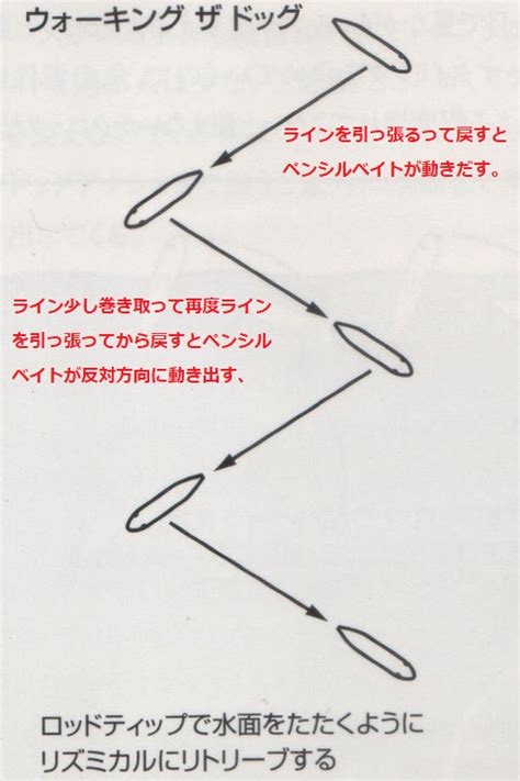 「たった10分で学べる」ペンシルベイトの使い方の基礎と応用 釣りたいバス釣り日記 Neo Bass Fishing Diary You