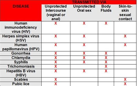 Everything You Need To Know About Stis — Miss Millennia Magazine