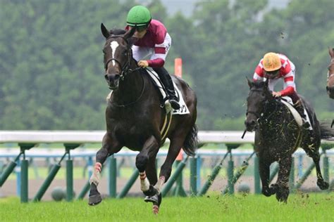 【2歳新馬／京都5r】藤田晋氏オーナーの2億円馬エリキングがデビューv 川田「順調に成長してくれればですね」（東スポ競馬）｜dメニューニュース