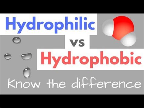 Hydrophilic: uses of the term, characteristics, examples - science - 2025