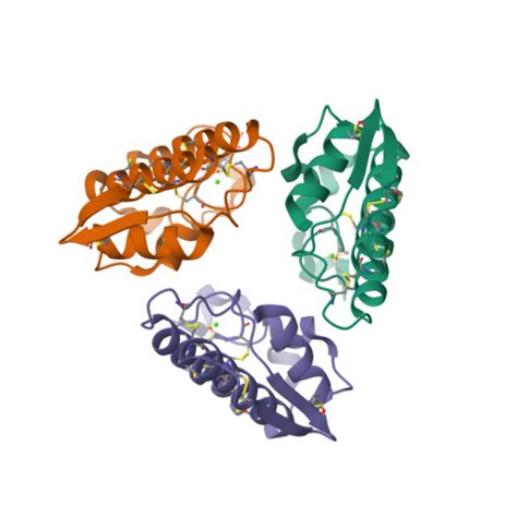 Rcsb Pdb Psh Crystal Structure Of Phospholipase A From Indian