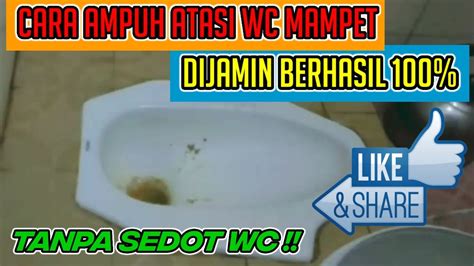 Cara Ampuh Atasi Wc Mampet Dijamin Berhasil Tanpa Bongkar Roto