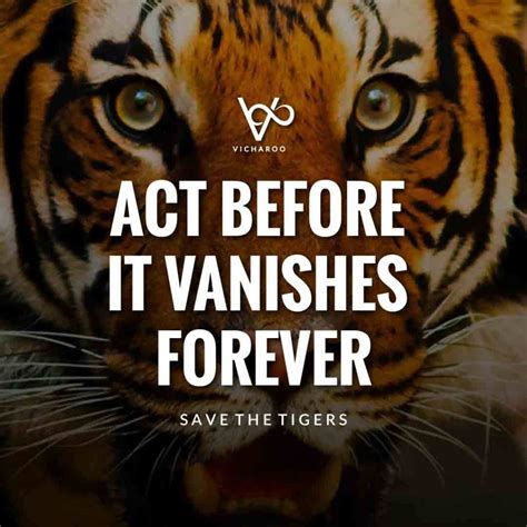 Act before it vanishes forever | Save Tigers Slogans and Quotes | International Tiger Day ...