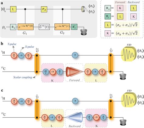 Nmr Pulse Sequence For The Reconstruction Of The Work Distribution