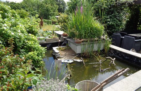 Une mare naturelle au jardin visites et méthodes Le potager permacole