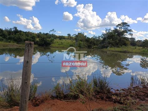 Mil Fazendas Fazenda Extra Em Alto Horizonte Go Alqueires