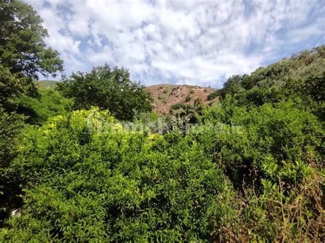 Terreno Agricolo Contrada Monalla Messina Rif Immobiliare It