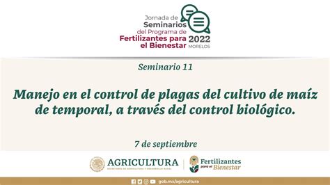 Mor Sem11 Manejo En El Control De Plagas Del Cultivo De Maíz A Través Del Control Biológico