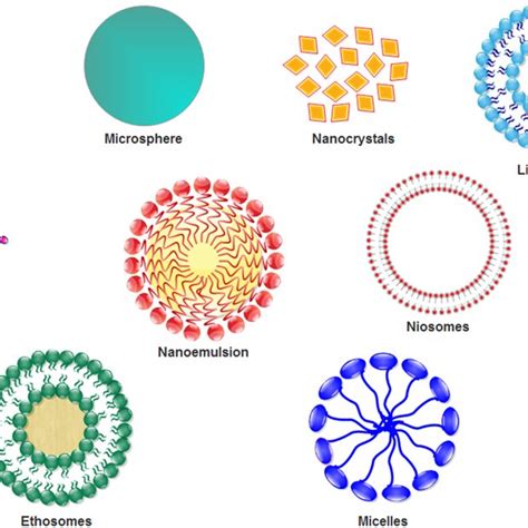 Schematic Representation Of Different Types Of Nanocarriers Used In