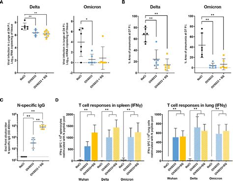 Frontiers OVX033 A Nucleocapsid Based Vaccine Candidate Provides