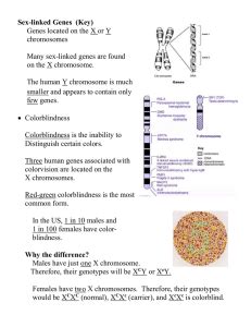 Inheritance Of Sex Linked Traits Lab