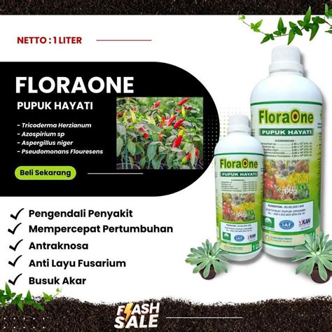 Jual Pupuk Fungisida Hayati Tricoderma Sp Obat Penyakit Patek