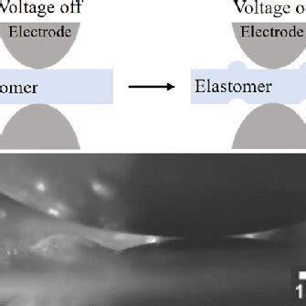 bubble structure actuation mechanism  schematics   sample