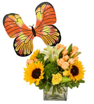 Schnucks Flower Delivery Springfield Il | Best Flower Site