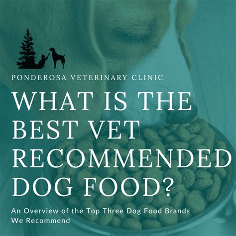 Top 3 Vet Recommended Dog Food Brands | Ponderosa Veterinary Clinic