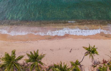 Aerial Photography of Beach · Free Stock Photo