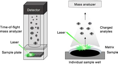 Matrix Assisted Laser Desorption Ionization Utilizing A Laser For