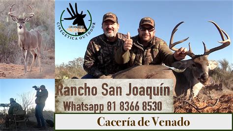 Cacería de Venado Colablanca de 8 Puntas en Grandes Trofeos YouTube