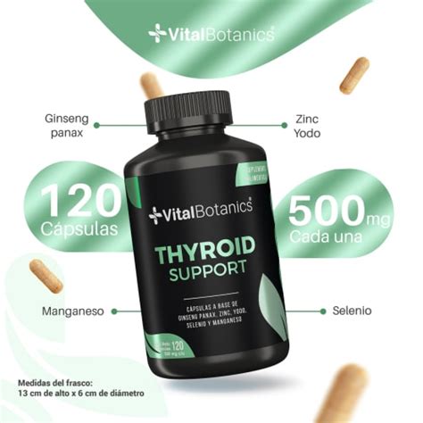 Compra Vitalbotanics Thyroid Support Con C Psulas En Prixz