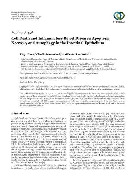 (PDF) Review Article Cell Death and Inflammatory Bowel Diseases ...