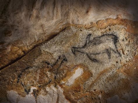 La grotte Cosquer une féérie préhistorique au cœur de Marseille