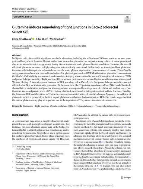 PDF Glutamine Induces Remodeling Of Tight Junctions In Caco 2