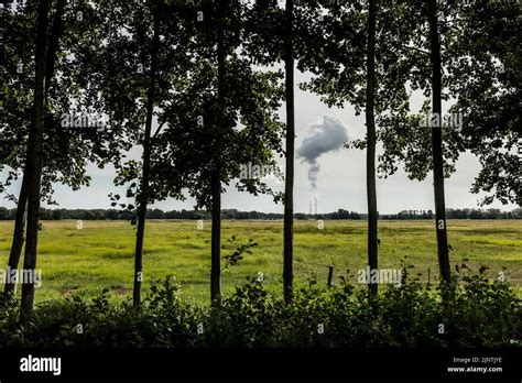 The Jaenschwalde Coal Fired Power Plant Is Visible Behind Trees In