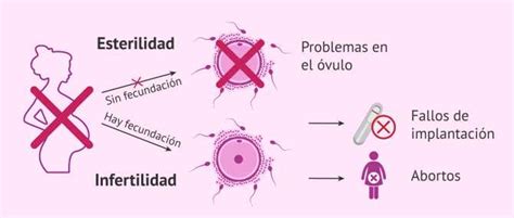 Qué probabilidad hay de quedar embarazada si no se vino dentro