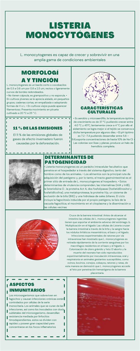 Listeria monocytógenes L monocytogenes es capaz de crecer y