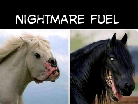 Spooky Horses Rthanksihateit