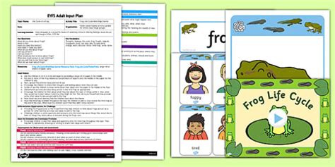 Frog Life Cycle Mind Map Starter Eyfs Adult Input Plan And Resource Pack