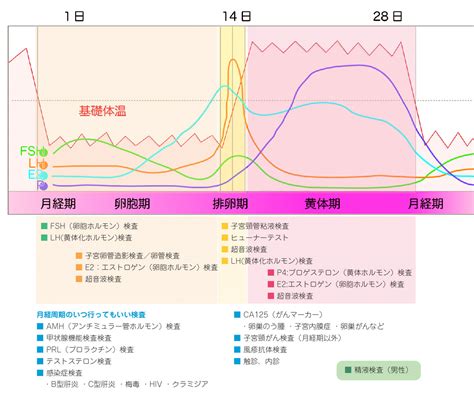 不妊検査について│不妊治療情報センター