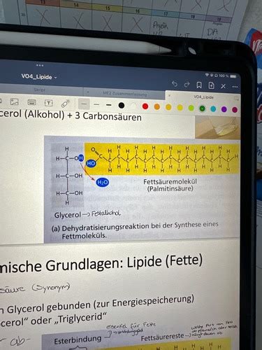 Lipide Karteikarten Quizlet