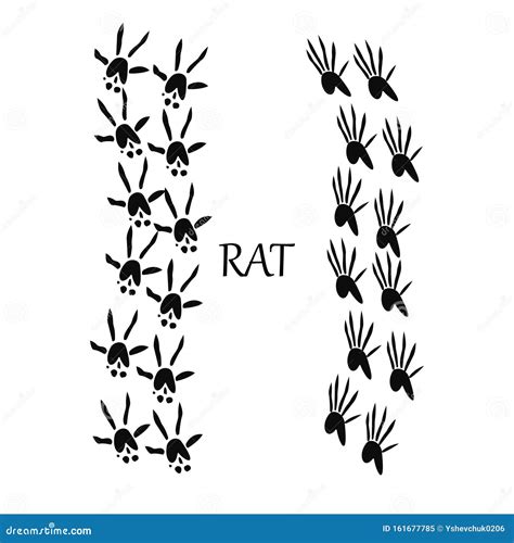 Rat Footprint Stock Illustrations – 65 Rat Footprint Stock Illustrations, Vectors & Clipart ...