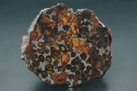 Météorite Pallasite De Sericho Ou Habaswein