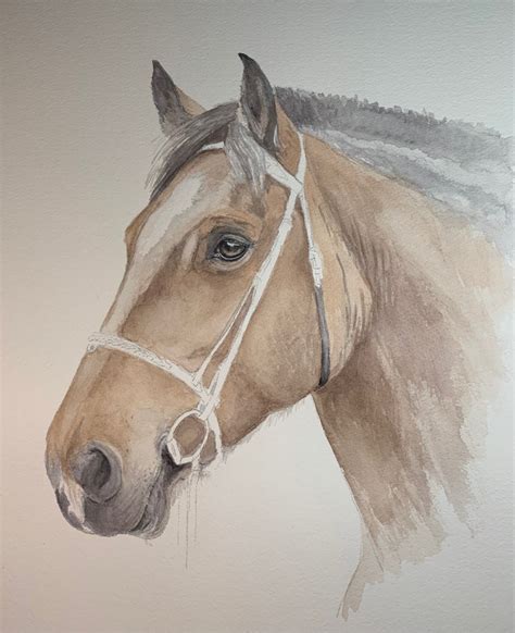 Horse Watercolor: From Start to Finish